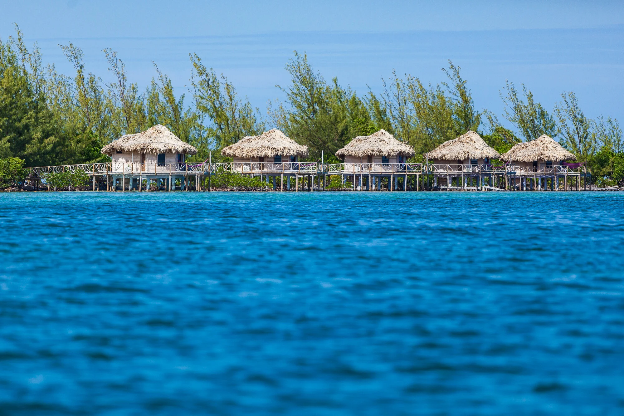 Thatch Caye Resort 5